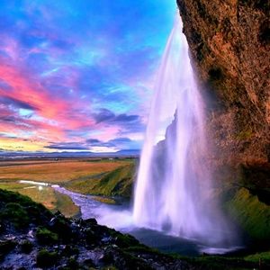 Meet your Posher, Philip